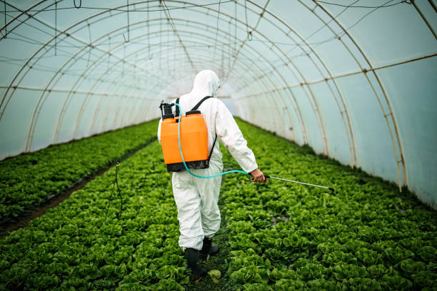 Best Pest Control Near Me  in Shiremanstown, PA