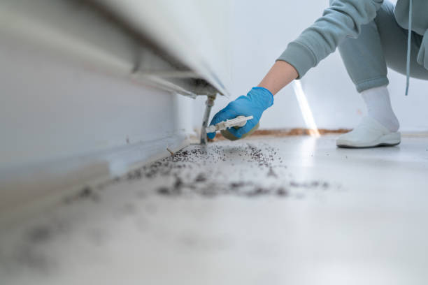 Best Flea Control Services  in Shiremanstown, PA